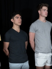 Stud Loads Vol. 8, Title: Stable Master