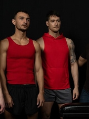 Stud Loads Vol.8, Title: Stallion Assessment