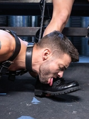 No Limits