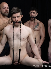 Stud Loads Vol. 4. Stable Master