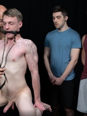 Stud Loads Vol. 4. Stable Master