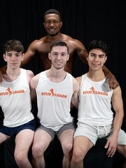 Stud Loads Vol. 6. Title: Stable Master