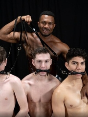 Stud Loads Vol. 6. Title: Stable Master