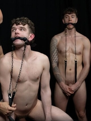 Stud Loads Vol. 7. Title: Stable Master